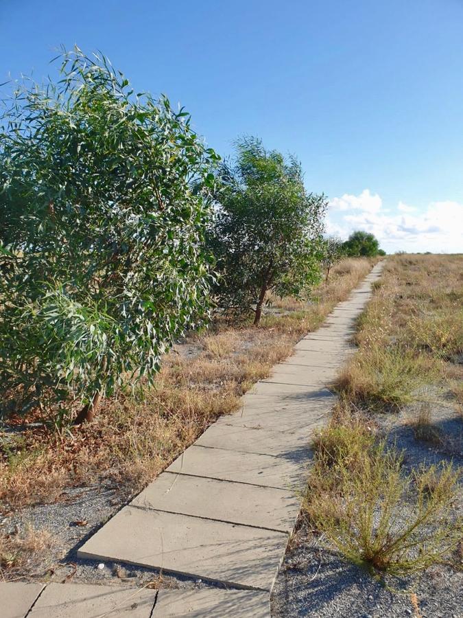Villa VISTA MARE Su tre piani con giardino Falerna Esterno foto
